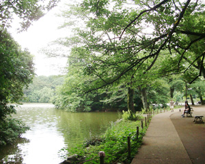 Zempuku_ji_park