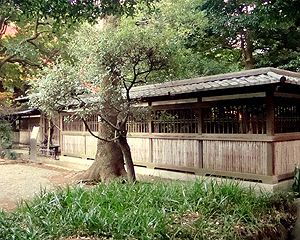Komaba_Park