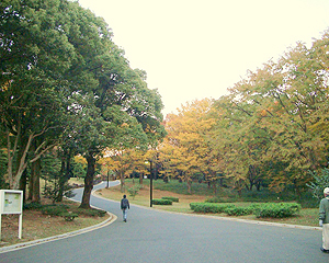 Yoyogi_Park